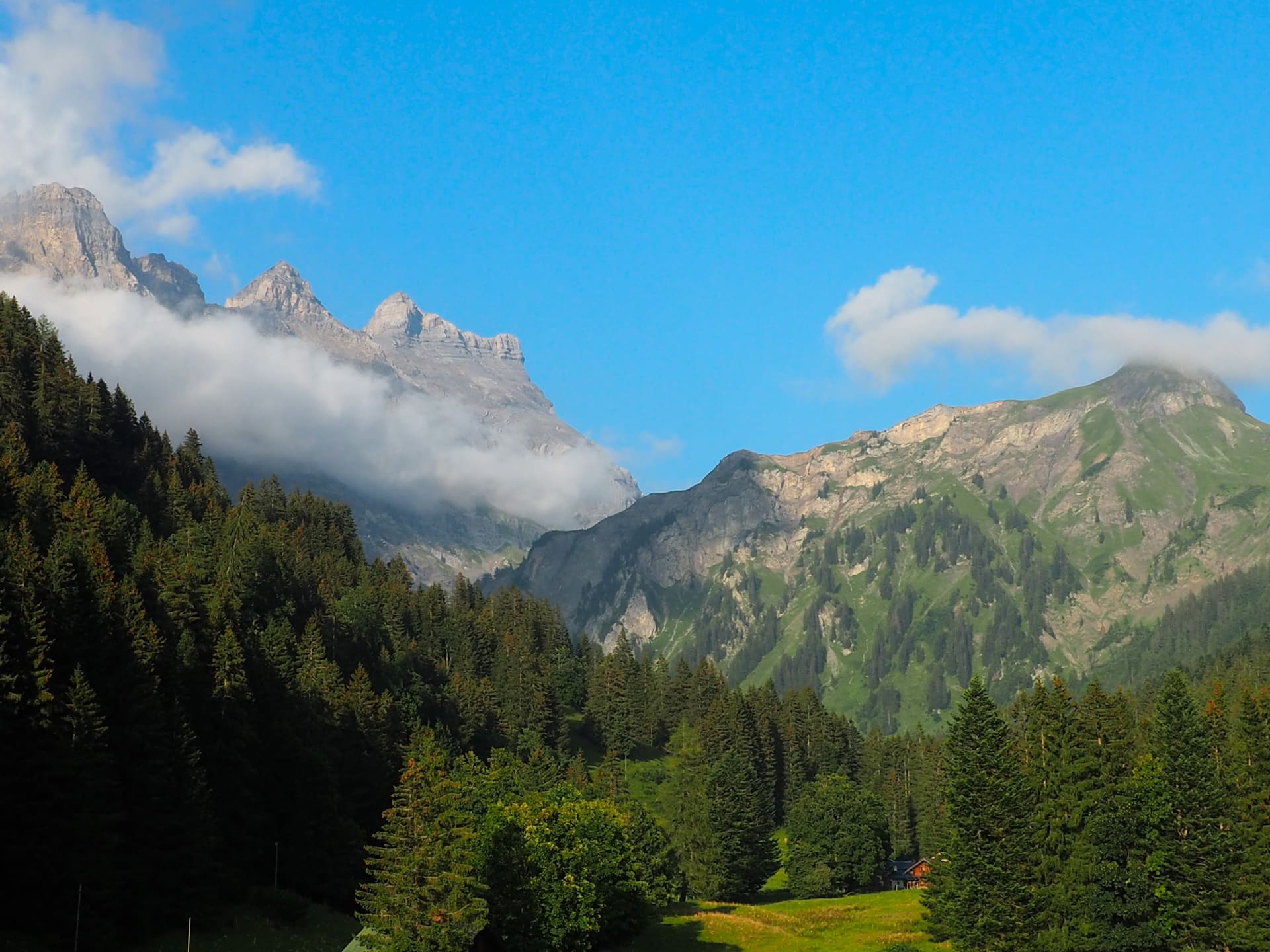 Nature-1